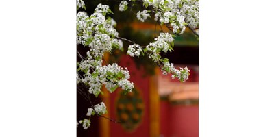 【展会资讯】yl6776永利集团精机5月展会一览，，，，等您来旅行！